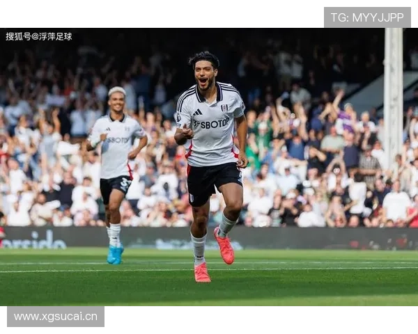 富勒姆战术调整 富勒姆战术调整