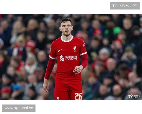 努涅斯南美国家队关键战表现评估