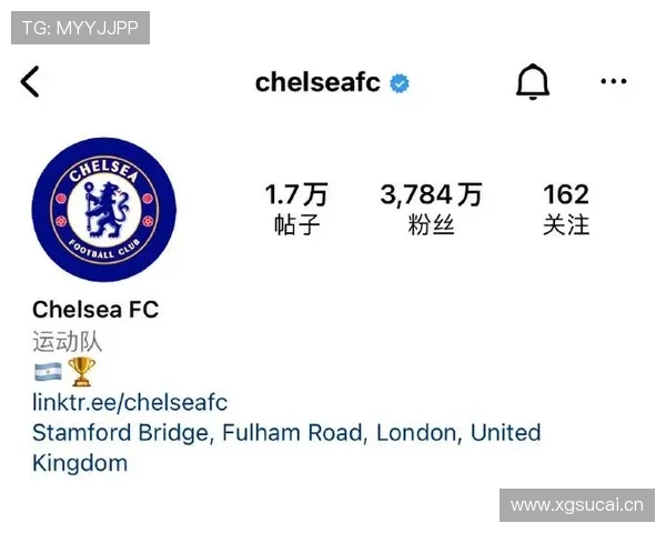 恩佐1.2亿欧元转会标王的价值解析 恩佐1.2亿欧元转会标王的价值解析