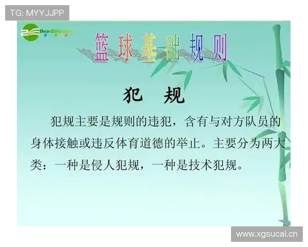 篮球规则详解:技术犯规是如何判定和执行的